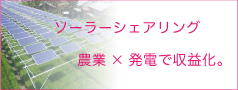 営農型太陽光発電、ソーラーシェアリング。農業×発電で収益の安定化を図ります。