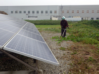 野立て太陽光発電の草刈りサービス