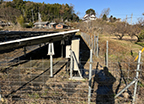 埼玉県大里郡寄居町／野立て太陽光発電／メンテナンス／太陽光パネル洗浄／草刈り／除草